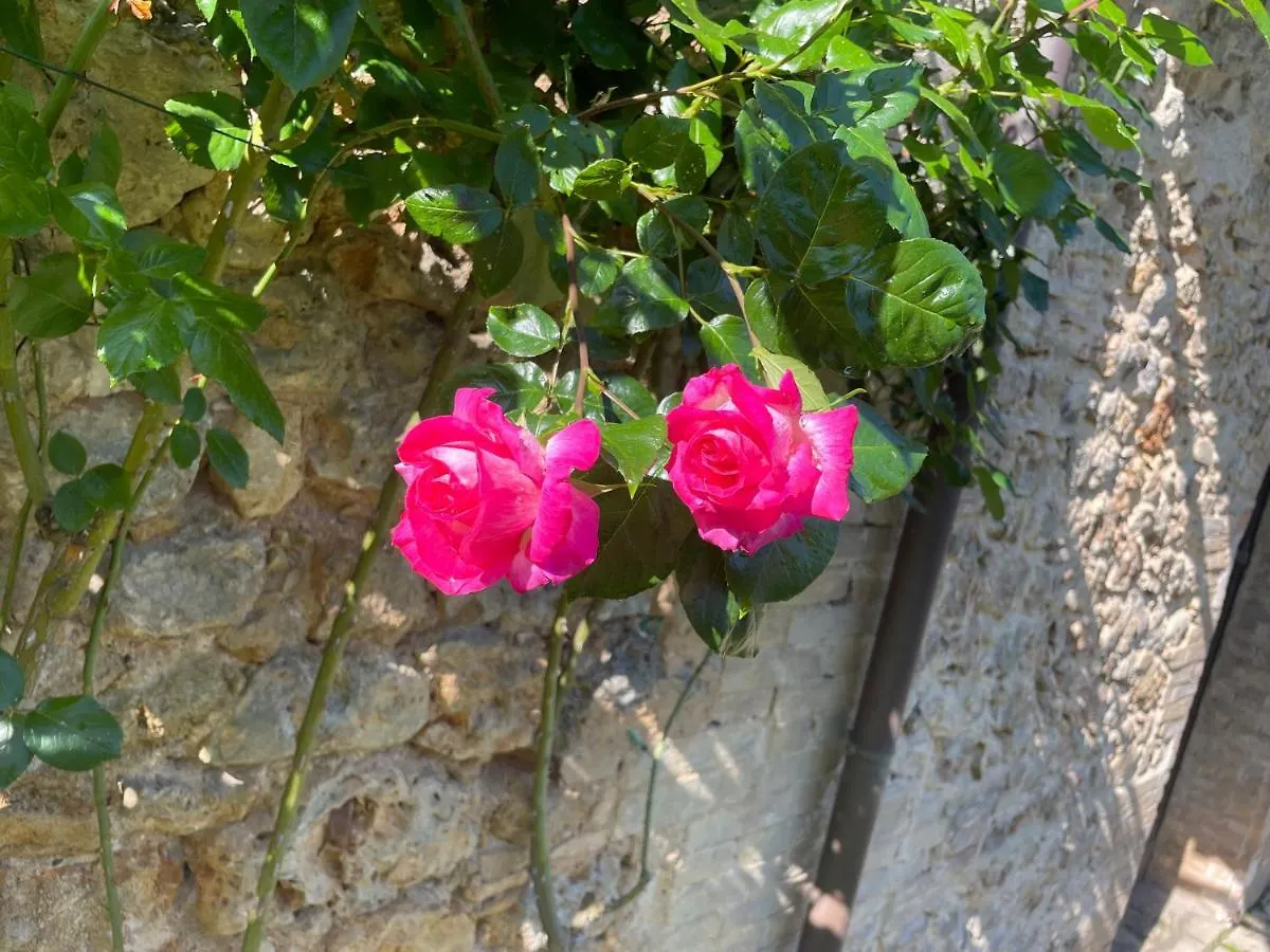 Vakantieboerderij Castel Pietraio Villa Monteriggioni
